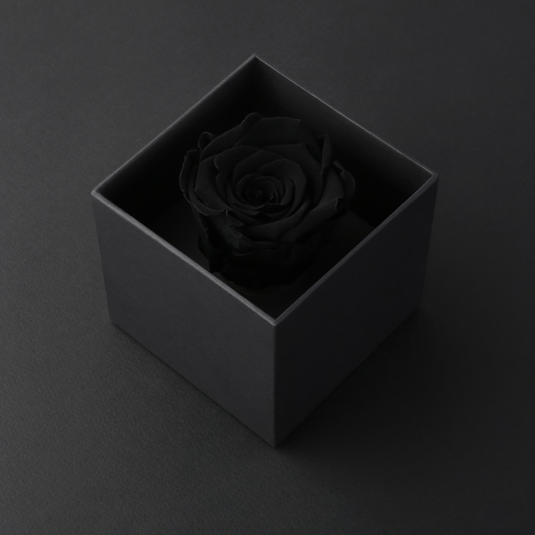 وردة طبيعية دائمة اسود ميني بريفي روز PRU4 - Prive Rose - هدية ورد طبيعي ميني - ROSE وردة طبيعية دائمة اسود ميني بريفي روز PRU4 - Prive Rose