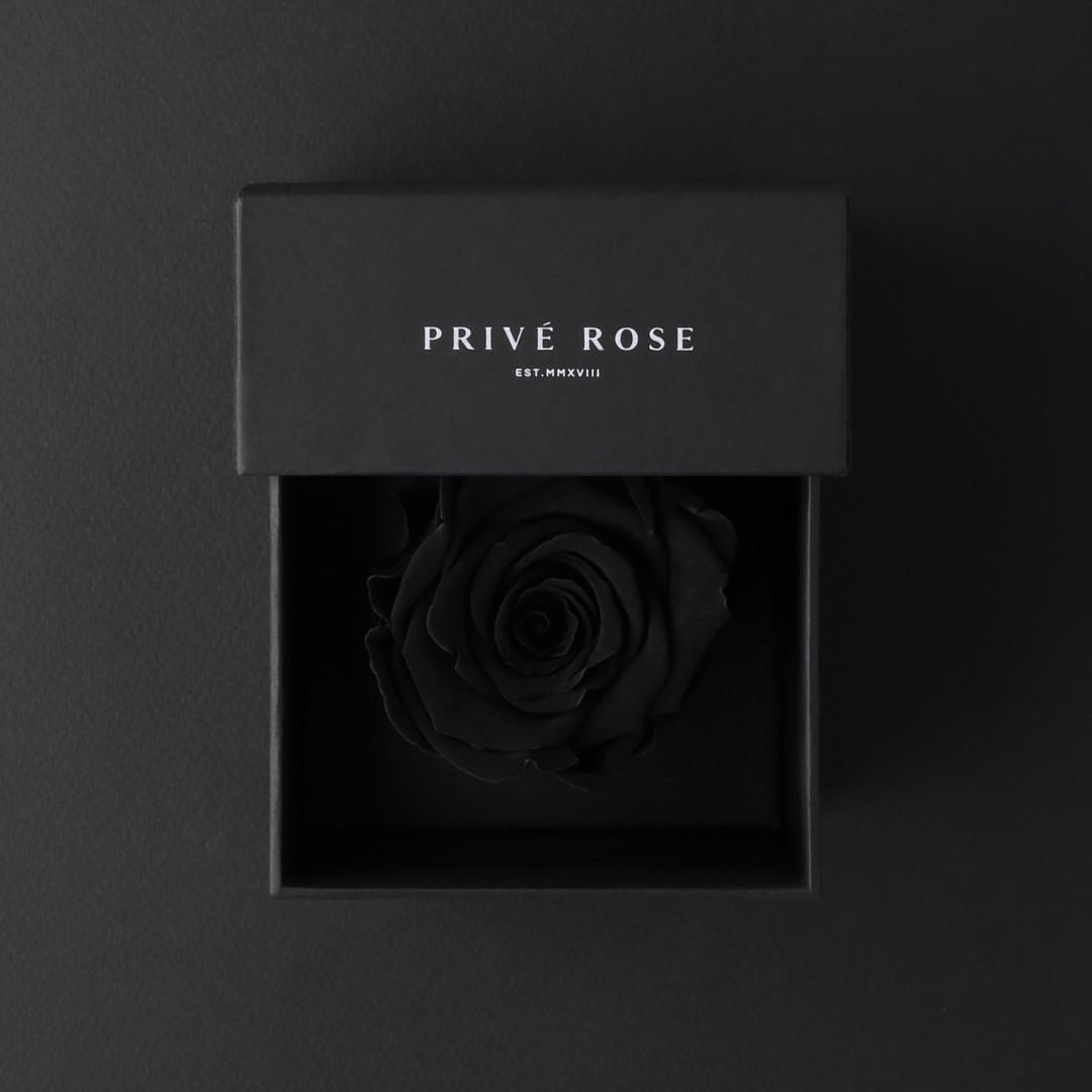 وردة طبيعية دائمة اسود ميني بريفي روز PRU4 - Prive Rose - هدية ورد طبيعي ميني - ROSE وردة طبيعية دائمة اسود ميني بريفي روز PRU4 - Prive Rose