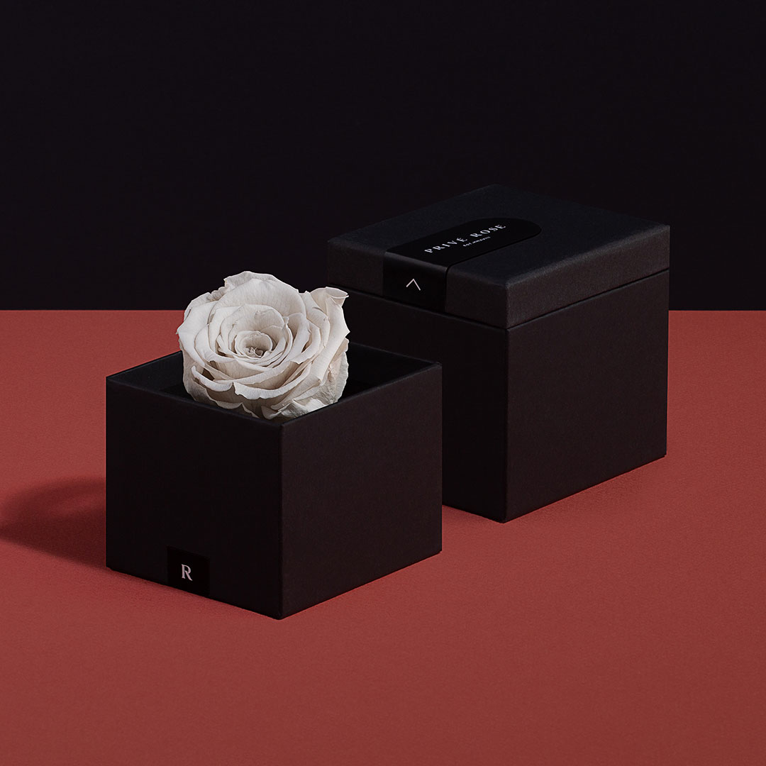 وردة طبيعية دائمة أبيض ميني بريفي روز PRW1 - Prive Rose - هدية ورد طبيعي ميني - ROSE وردة طبيعية دائمة أبيض ميني بريفي روز PRW1 - Prive Rose