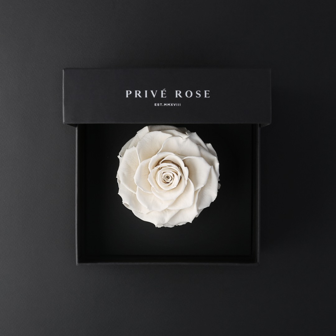 وردة طبيعية دائمة أبيض بريفي روز PRW11 - Prive Rose - هدية ورد طبيعي كبير - ROSE وردة طبيعية دائمة أبيض بريفي روز PRW11 - Prive Rose
