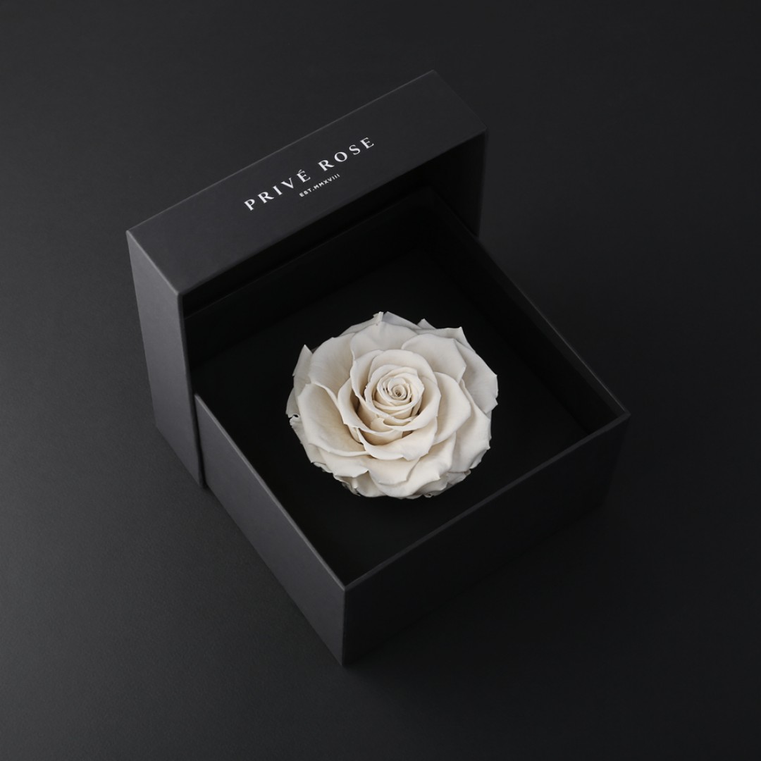 وردة طبيعية دائمة أبيض بريفي روز PRW11 - Prive Rose - هدية ورد طبيعي كبير - ROSE وردة طبيعية دائمة أبيض بريفي روز PRW11 - Prive Rose