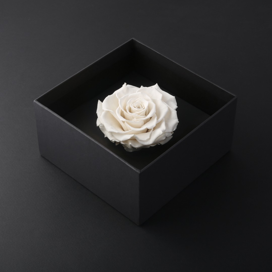 وردة طبيعية دائمة أبيض بريفي روز PRW11 - Prive Rose - هدية ورد طبيعي كبير - ROSE وردة طبيعية دائمة أبيض بريفي روز PRW11 - Prive Rose