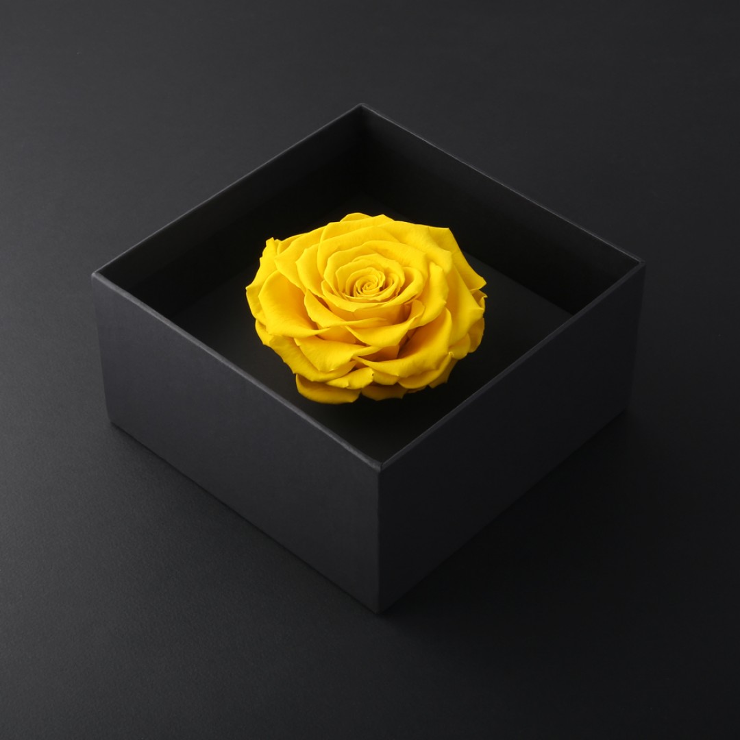 وردة طبيعية دائمة أصفر بريفي روز PRY15 - Prive Rose - هدية ورد طبيعي كبير - ROSE وردة طبيعية دائمة أصفر بريفي روز PRY15 - Prive Rose